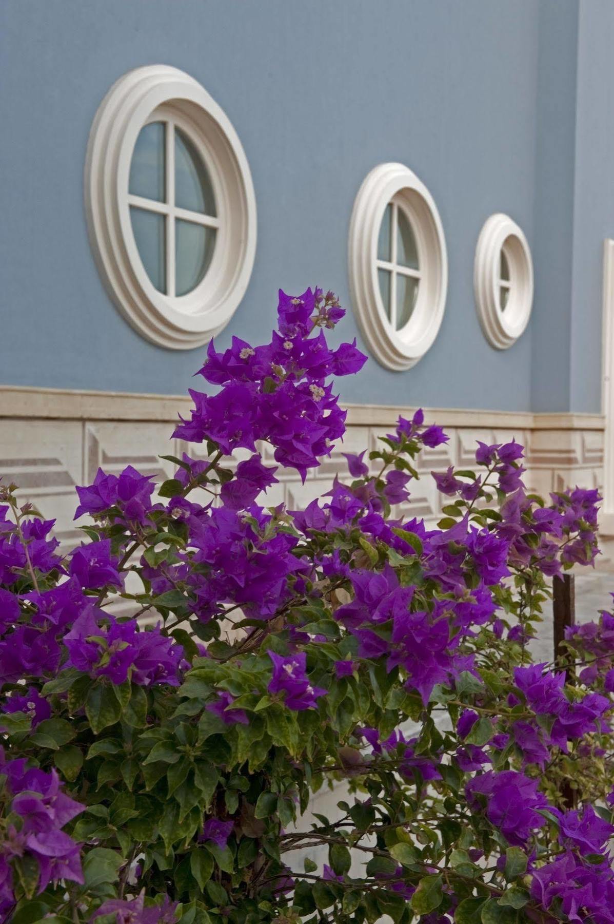 La Maison Bleue El Gouna (Adults Only) Hurghada Ngoại thất bức ảnh